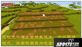 游戏梯田,游戏世界中的农业奇迹之旅(图2) 游戏梯田,游戏世界中的农业奇迹之旅(图2)