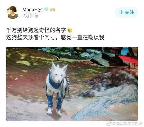 游戏名字狗,勇闯江湖的忠诚伙伴(图2)