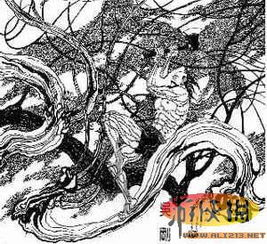 游戏人吴刚,游戏世界的传奇英雄(图3)