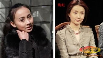 小陶虹游戏,演绎别样人生风采(图2)