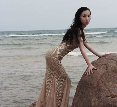 小陶虹游戏,演绎别样人生风采(图3)