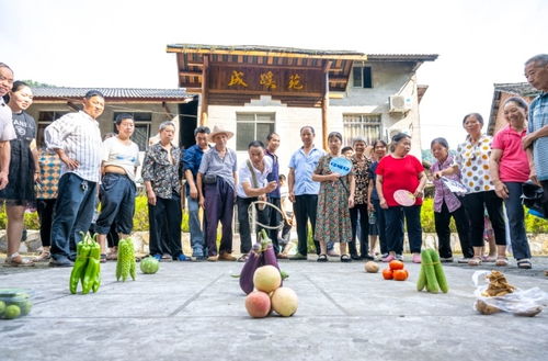 南川游戏,引领游戏新潮流(图3)