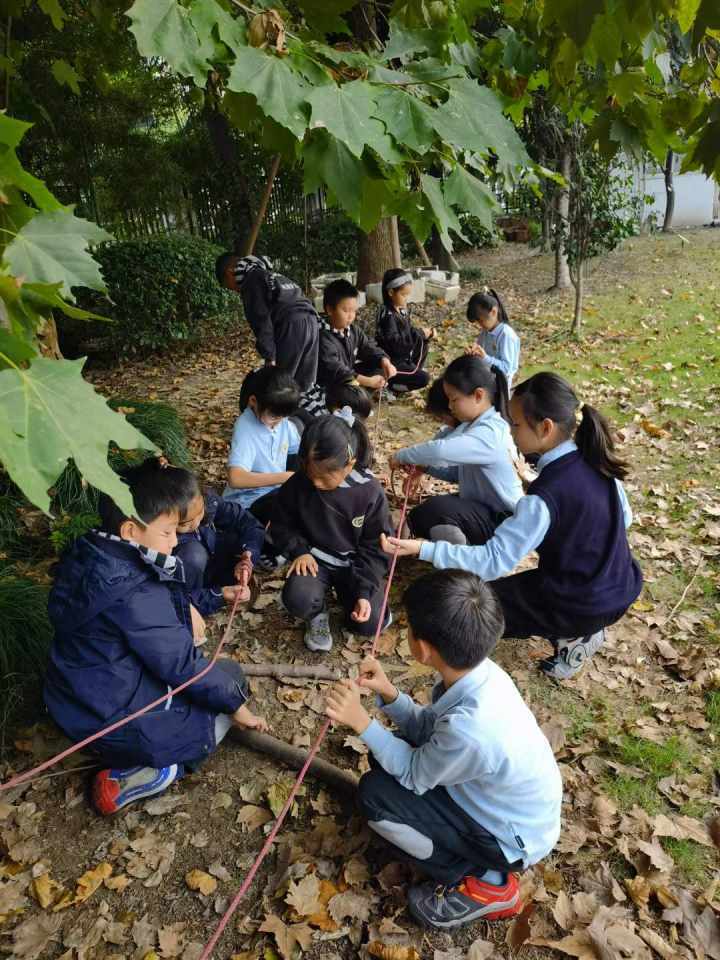 小学绳梯游戏,小学体育课上的活力挑战(图3)