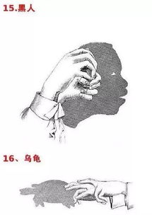 中班手指游戏手影游戏,创意无限时光(图2)