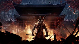 惊狼游戏,生死边缘的极限挑战(图2)