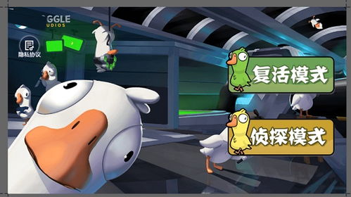 鸭鹅游戏,欢乐无限(图1)