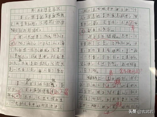 小学三年级游戏小作文,趣味盎然的小学三年级游戏时光(图2)