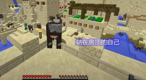 我的世界猎人游戏游戏,我的世界猎人游戏生存之旅(图3)