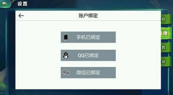 PS游戏绑定,解锁虚拟世界的无限可能(图3)