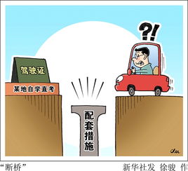 驾驶驾照游戏,模拟驾驶技能大考验(图3) 驾驶驾照游戏,模拟驾驶技能大考验(图3)