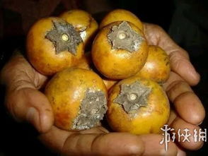 水果刺游戏,挑战极限的奇幻之旅(图2) 水果刺游戏,挑战极限的奇幻之旅(图2)