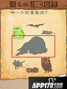 最囧游戏3攻略第一关,第一关轻松通关秘籍大揭秘(图3) 最囧游戏3攻略第一关,第一关轻松通关秘籍大揭秘(图3)