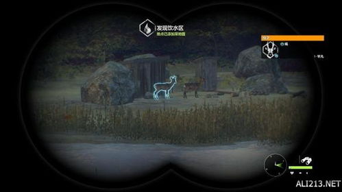 野性游戏攻略,畅游奇幻世界(图3) 野性游戏攻略,畅游奇幻世界(图3)