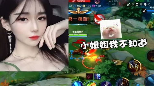 打姐游戏,揭秘校园里的欢乐竞技场(图1) 打姐游戏,揭秘校园里的欢乐竞技场(图1)