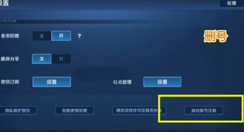 删掉游戏号,见证游戏号的消逝之旅(图3) 删掉游戏号,见证游戏号的消逝之旅(图3)