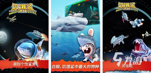 什么菌游戏,一场奇幻的冒险之旅(图3) 什么菌游戏,一场奇幻的冒险之旅(图3)