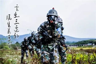 当兵游戏,当兵游戏的激情岁月(图3)