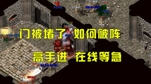 堵门游戏简单,趣味盎然的社交竞技新体验(图3)
