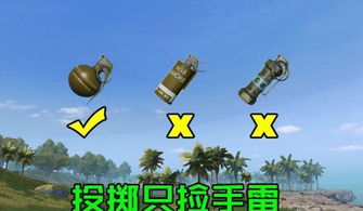 捡手雷游戏,揭秘捡手雷游戏的惊险刺激(图1) 捡手雷游戏,揭秘捡手雷游戏的惊险刺激(图1)