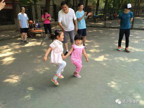 小组蹲游戏,锻炼团队协作的欢乐游戏(图1) 小组蹲游戏,锻炼团队协作的欢乐游戏(图1)