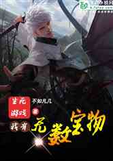 游戏宝物小说,探寻失落的传奇宝藏(图1)