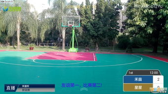 禾苗游戏,收获快乐与成长(图2)