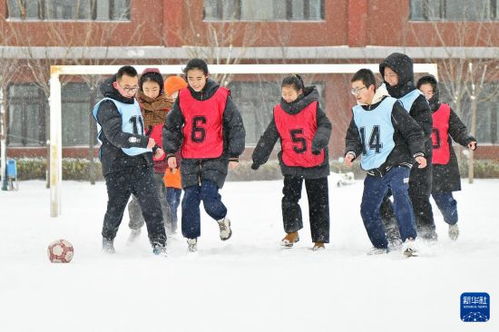 学生雪地游戏,学生们的冬季游戏盛宴(图3) 学生雪地游戏,学生们的冬季游戏盛宴(图3)