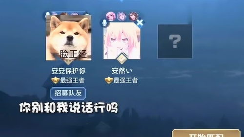 游戏安然,探寻神秘古墓的奇幻冒险之旅(图3) 游戏安然,探寻神秘古墓的奇幻冒险之旅(图3)