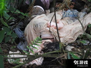 处理女尸游戏,女尸之谜的惊悚解密之旅(图1) 处理女尸游戏,女尸之谜的惊悚解密之旅(图1)