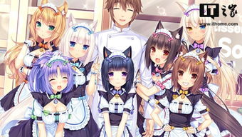 游戏neko,探索神秘猫娘世界的奇幻冒险之旅(图3) 游戏neko,探索神秘猫娘世界的奇幻冒险之旅(图3)