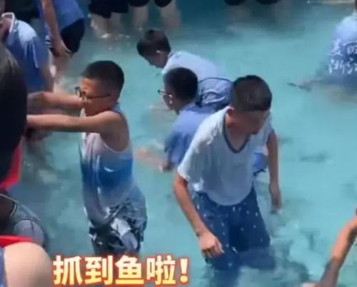 军训摸鱼游戏,揭秘青春回忆中的欢乐时光(图2) 军训摸鱼游戏,揭秘青春回忆中的欢乐时光(图2)