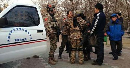 工公车游戏,穿梭时空的奇幻之旅(图1) 工公车游戏,穿梭时空的奇幻之旅(图1)