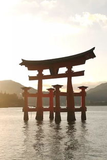 宫岛游戏,探索奇幻岛屿的冒险之旅(图1) 宫岛游戏,探索奇幻岛屿的冒险之旅(图1)