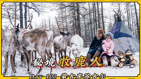 养驯鹿游戏,探索北欧原野的神秘之旅(图3) 养驯鹿游戏,探索北欧原野的神秘之旅(图3)