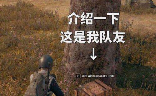 落河游戏,惊心动魄的生存挑战(图1) 落河游戏,惊心动魄的生存挑战(图1)