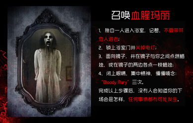 游戏招鬼,探寻神秘鬼魂的惊悚冒险之旅(图2) 游戏招鬼,探寻神秘鬼魂的惊悚冒险之旅(图2)