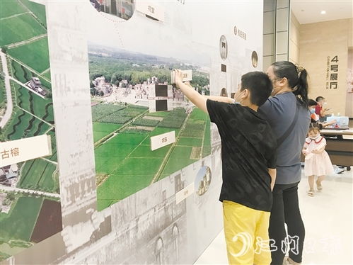 台山游戏,探索岭南文化新体验(图3) 台山游戏,探索岭南文化新体验(图3)