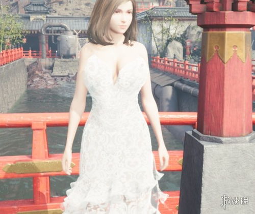 婚纱裙游戏,穿越时空的美丽邂逅(图3) 婚纱裙游戏,穿越时空的美丽邂逅(图3)