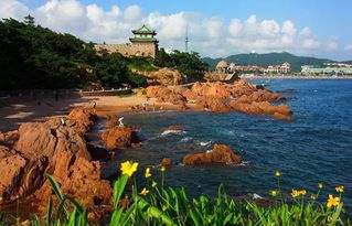 青岛游戏周边,潮流与创意的完美融合(图3) 青岛游戏周边,潮流与创意的完美融合(图3)