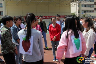 操场游戏手机,畅享校园乐趣的移动新体验(图2) 操场游戏手机,畅享校园乐趣的移动新体验(图2)