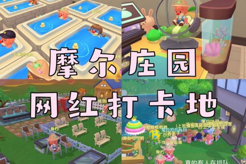打卡攻略游戏,解锁游戏世界新玩法(图3) 打卡攻略游戏,解锁游戏世界新玩法(图3)