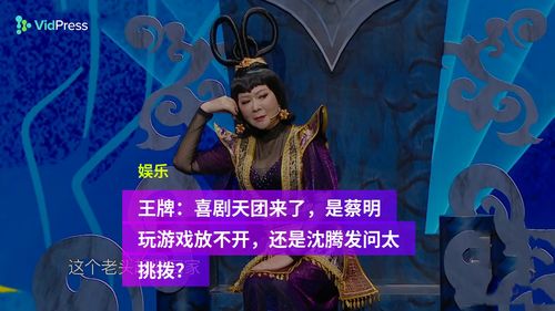 游戏蔡明,游戏世界中的传奇英雄(图1) 游戏蔡明,游戏世界中的传奇英雄(图1)