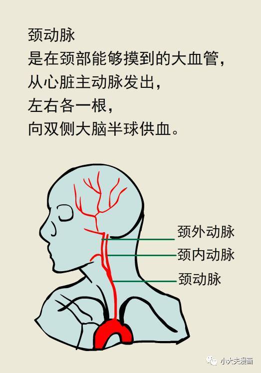 偏瘫游戏,偏瘫患者的趣味游戏疗法探索(图1) 偏瘫游戏,偏瘫患者的趣味游戏疗法探索(图1)