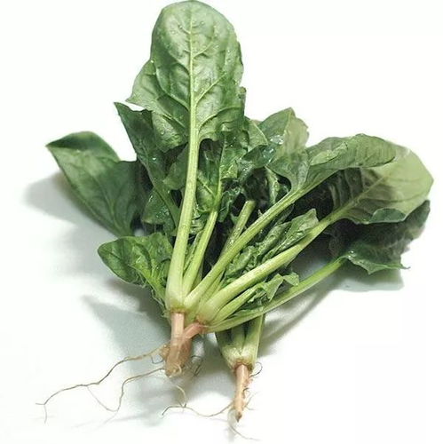 打游戏菠菜,揭秘游戏世界中的灰色地带(图1) 打游戏菠菜,揭秘游戏世界中的灰色地带(图1)