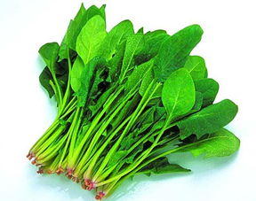打游戏菠菜,揭秘游戏世界中的灰色地带(图2) 打游戏菠菜,揭秘游戏世界中的灰色地带(图2)