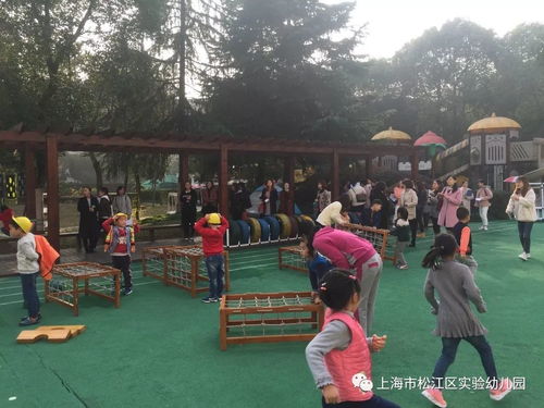 教师游戏户外,教师引导下的幼儿成长之旅(图2) 教师游戏户外,教师引导下的幼儿成长之旅(图2)