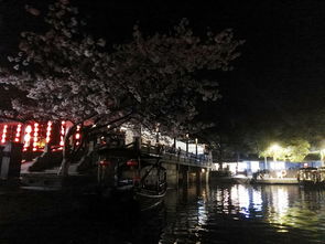 烟雨结婚游戏,一场穿越时空的浪漫婚礼(图2) 烟雨结婚游戏,一场穿越时空的浪漫婚礼(图2)