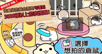 仓鼠游乐场手机版下载 (图3) 仓鼠游乐场手机版下载 (图3)