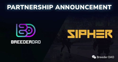 sip游戏,SIP游戏深度解析(图3) sip游戏,SIP游戏深度解析(图3)