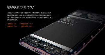 金立m6玩游戏卡不卡,畅游游戏世界(图3) 金立m6玩游戏卡不卡,畅游游戏世界(图3)
